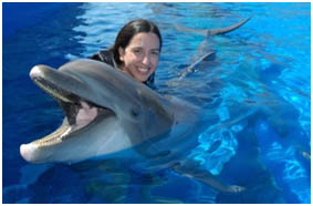 Marineland Engineering Design Services, St. Augustine